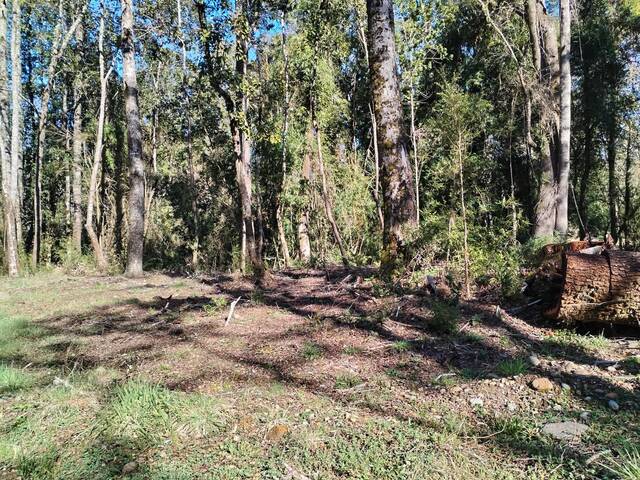 #12 - Terreno para Venta en Frutillar - X - 2