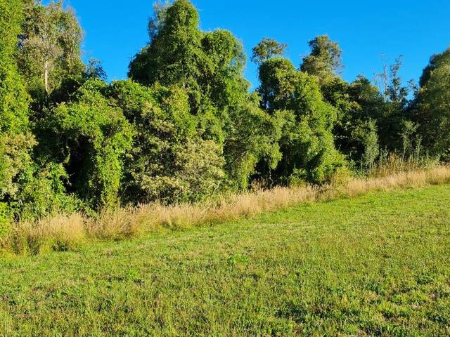 #85 - Terreno para Venta en Puerto Montt - X - 1
