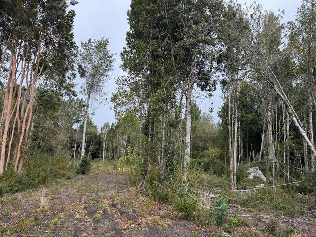 #87 - Área para Venta en Puerto Varas - X - 1