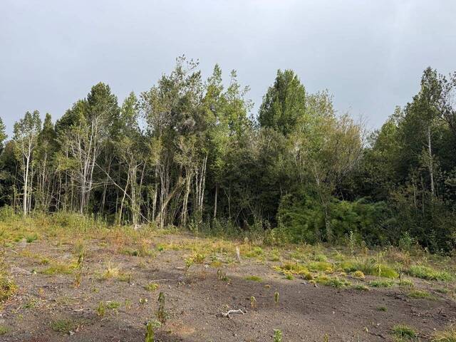 #87 - Área para Venta en Puerto Varas - X - 2